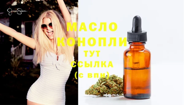 хмурый Аркадак