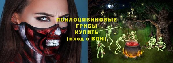 хмурый Аркадак