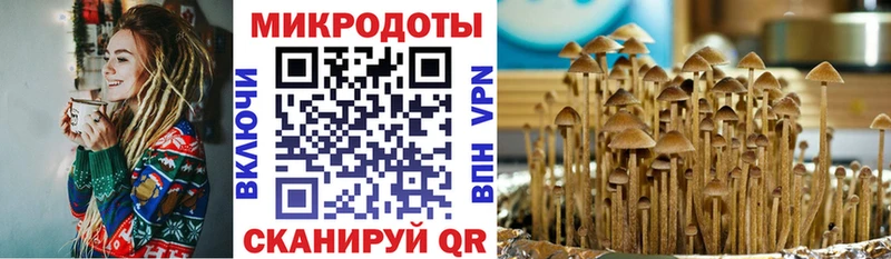 Галлюциногенные грибы мицелий  Полесск 